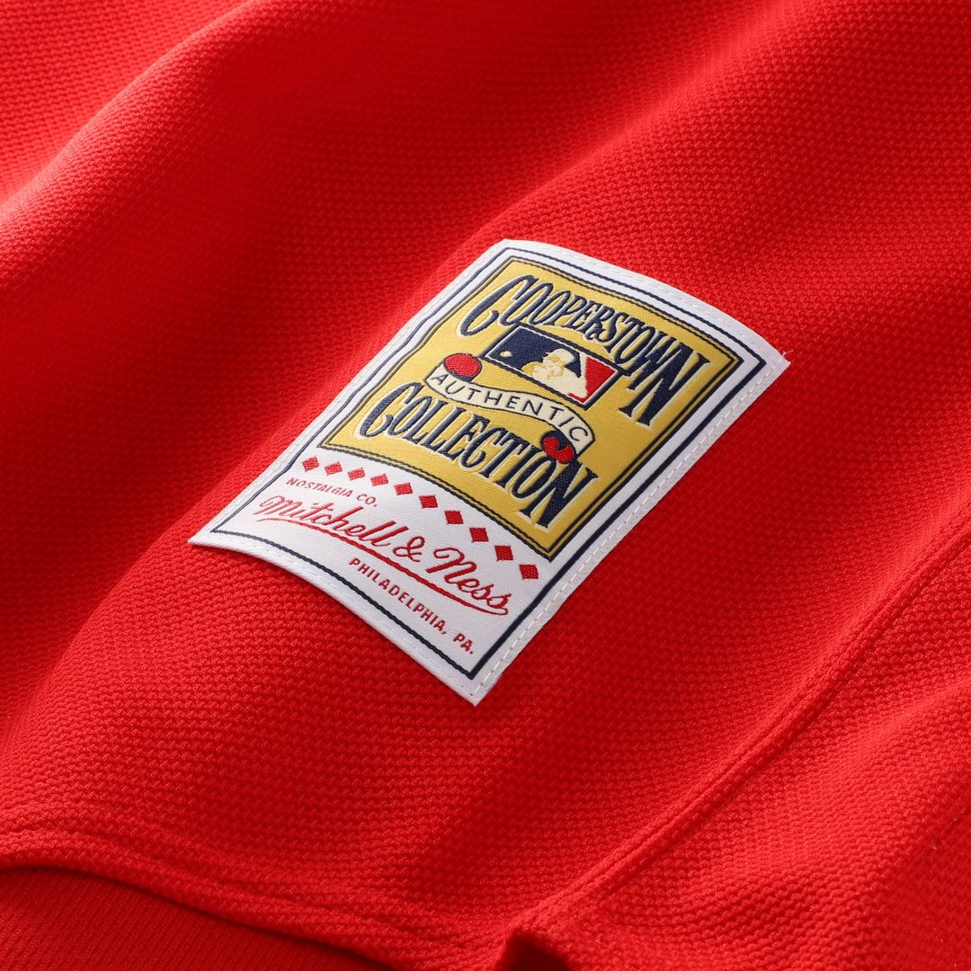 California Angels Vladimir Guerrero Mitchell & Ness Red Authentic Batting Practice Jersey product image 7, provided for