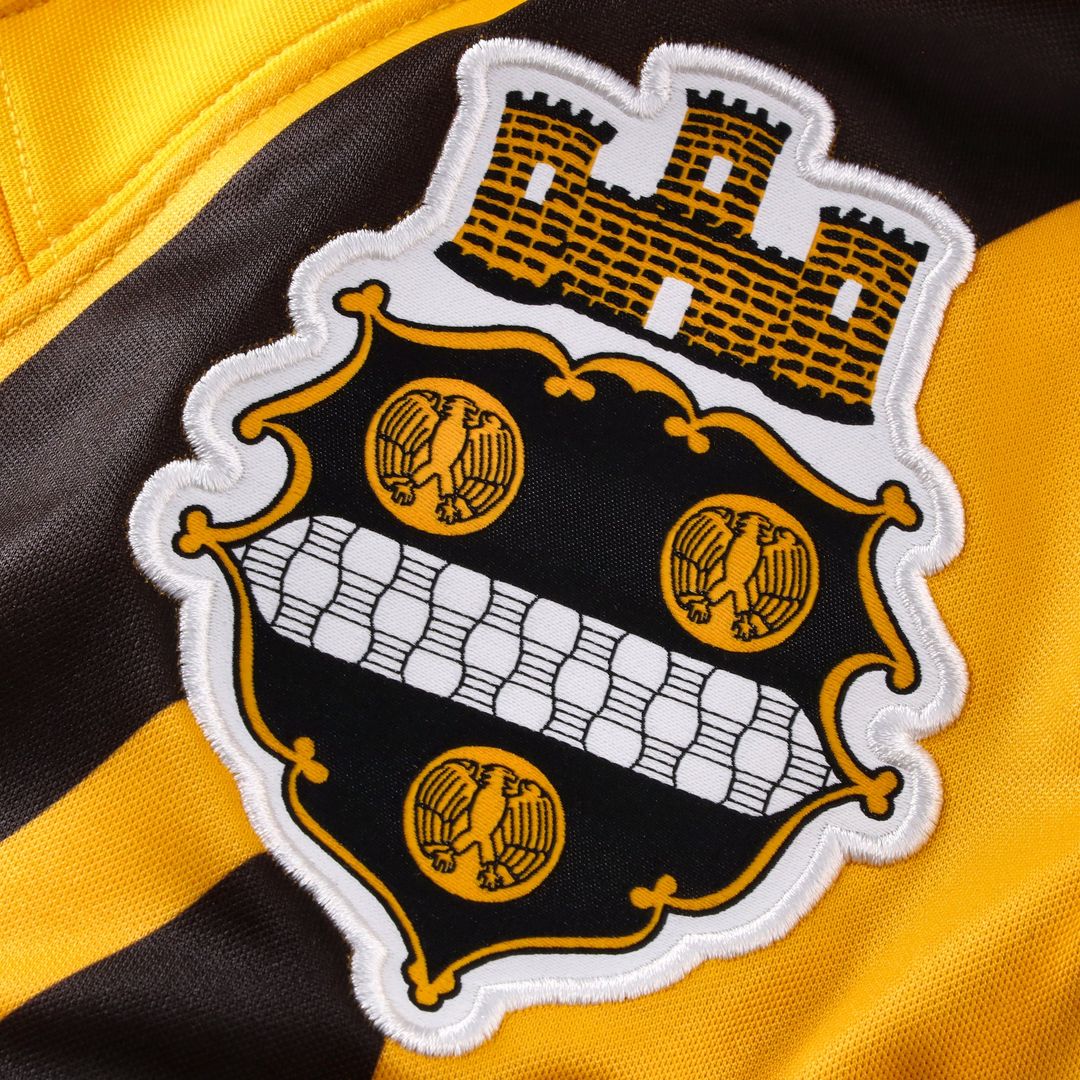 Pittsburgh Steelers Aaron Rodgers Nike Gold Alternate Vapor F.U.S.E. Limited Jersey product image 9, provided for visual