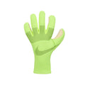 NIKE Dynamic Fit Goalkeeper Gloves - HQ0255 702 product image 1, provided for visual reference and product detail review