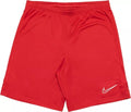 NIKE Academy Dri-Fit Shorts - CW6107 657 product image 1, provided for visual reference and product detail review
