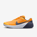 NIKE Air Zoom TR 1 - DX9016 706 product image 1, provided for visual reference and product detail review