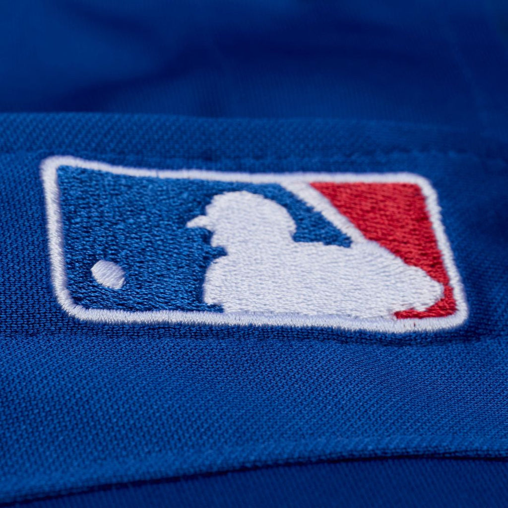 Texas Rangers Adrian Beltre Mitchell & Ness Royal Cooperstown Mesh Batting Practice Button-Up Jersey product image 5,
