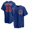 Chicago Cubs Shota Imanaga Nike Royal Alternate Replica Jersey product image 1, provided for visual reference and product