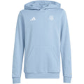 ADIDAS Argentina Youth Anniversary DNA Hoody 2025 - JM2849 product image 1, provided for visual reference and product detail