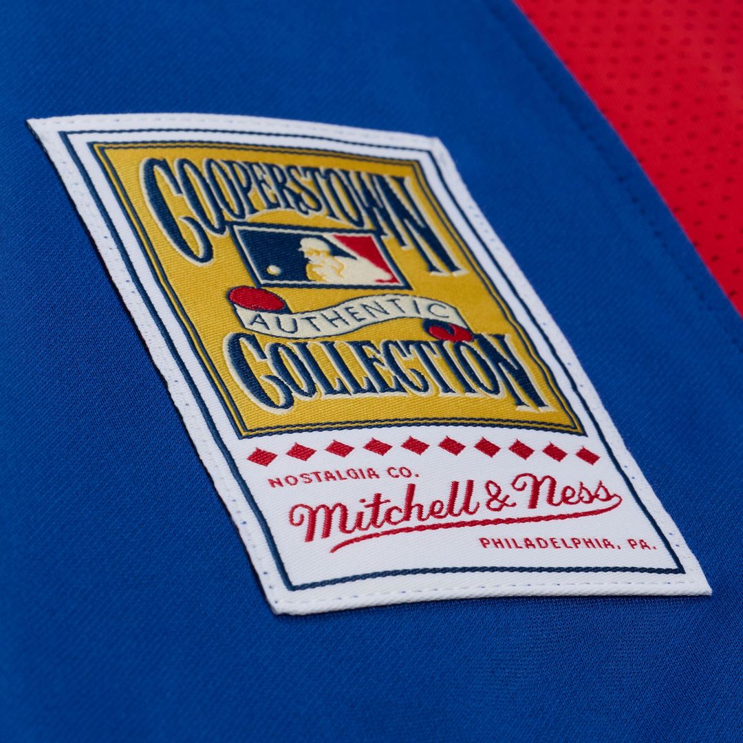 Texas Rangers Adrian Beltre Mitchell & Ness Royal Cooperstown Mesh Batting Practice Button-Up Jersey product image 3,