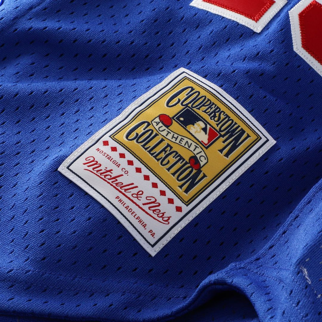 Montreal Expos Pedro Martinez Mitchell & Ness Blue Cooperstown Collection Mesh Batting Practice Button-Up Jersey product