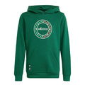 2023 Mexico Youth Hoodie - IU2164 product image 1, provided for visual reference and product detail review