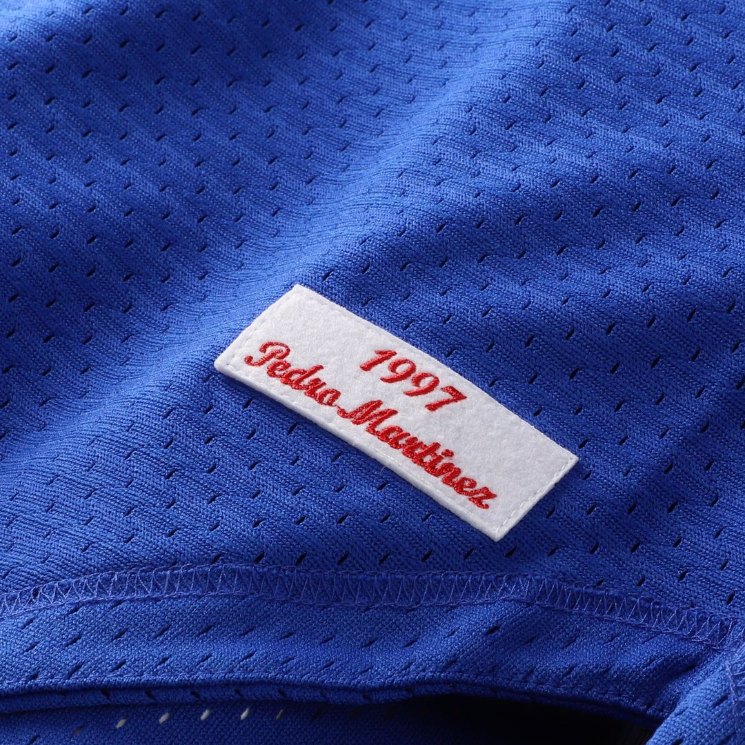 Montreal Expos Pedro Martinez Mitchell & Ness Blue Cooperstown Collection Mesh Batting Practice Button-Up Jersey product