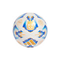 ADIDAS Argentum 24 Competition Soccer Ball - IX4016 product image 1, provided for visual reference and product detail review
