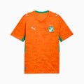 Puma Ivory Coast Men Home Jersey 26/27 - 78318201 800 product image 1, provided for visual reference and product detail