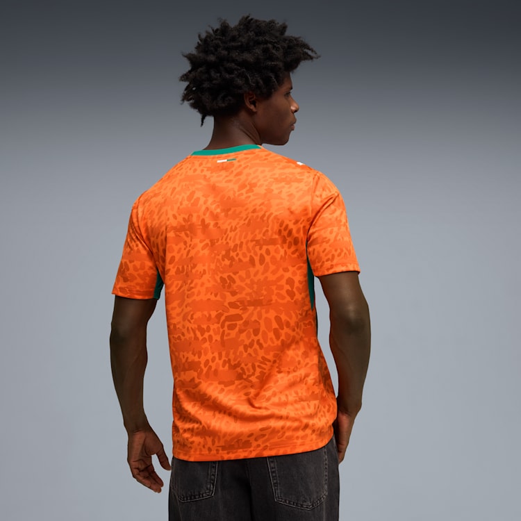 Puma Ivory Coast Men Home Jersey 26/27 - 78318201 800 product image 5, provided for visual reference and product detail