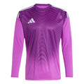 ADIDAS Tiro 25 Competition Goalkeeper Jersey - JI9726 product image 1, provided for visual reference and product detail