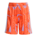 Tiro26 Competition Goalkeeper Shorts Kc5345 product image 1, provided for visual reference and product detail review