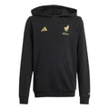 Adidas Mexico Gold DNA Hoodie Kids - JM2870 product image 1, provided for visual reference and product detail review
