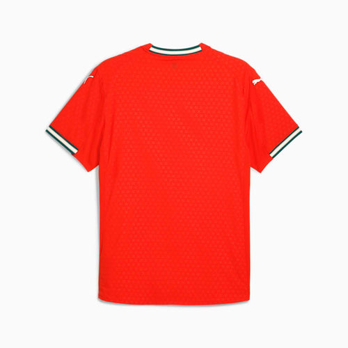 2025/26 PUMA Portugal Men’s Authentic Home Jersey - 780766 01 product image 2, provided for visual reference and product