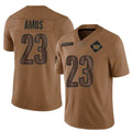 W.Commanders #23 Trey Amos Player Brown Salute To Service product image 1