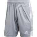 ADIDAS Tastigo 19 Men Shorts - DP3248 product image 1, provided for visual reference and product detail review
