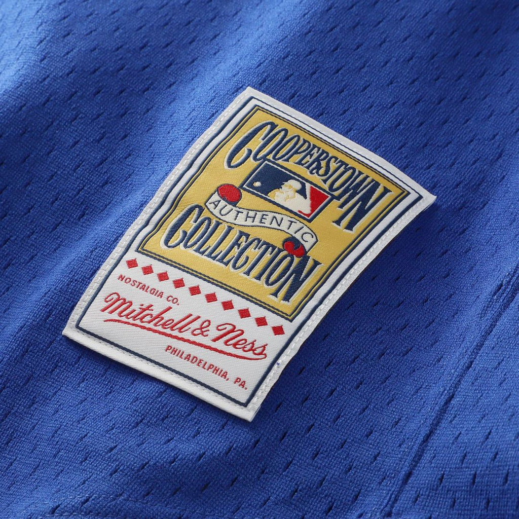 Texas Rangers Nolan Ryan Mitchell & Ness Royal Big & Tall Cooperstown Mesh Batting Practice Jersey product image 7, provided