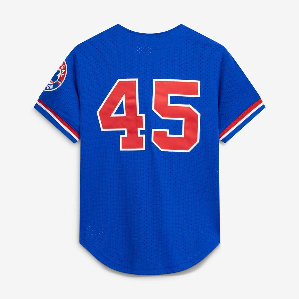 Montreal Expos Pedro Martinez Mitchell & Ness Blue Cooperstown Collection Mesh Batting Practice Button-Up Jersey product