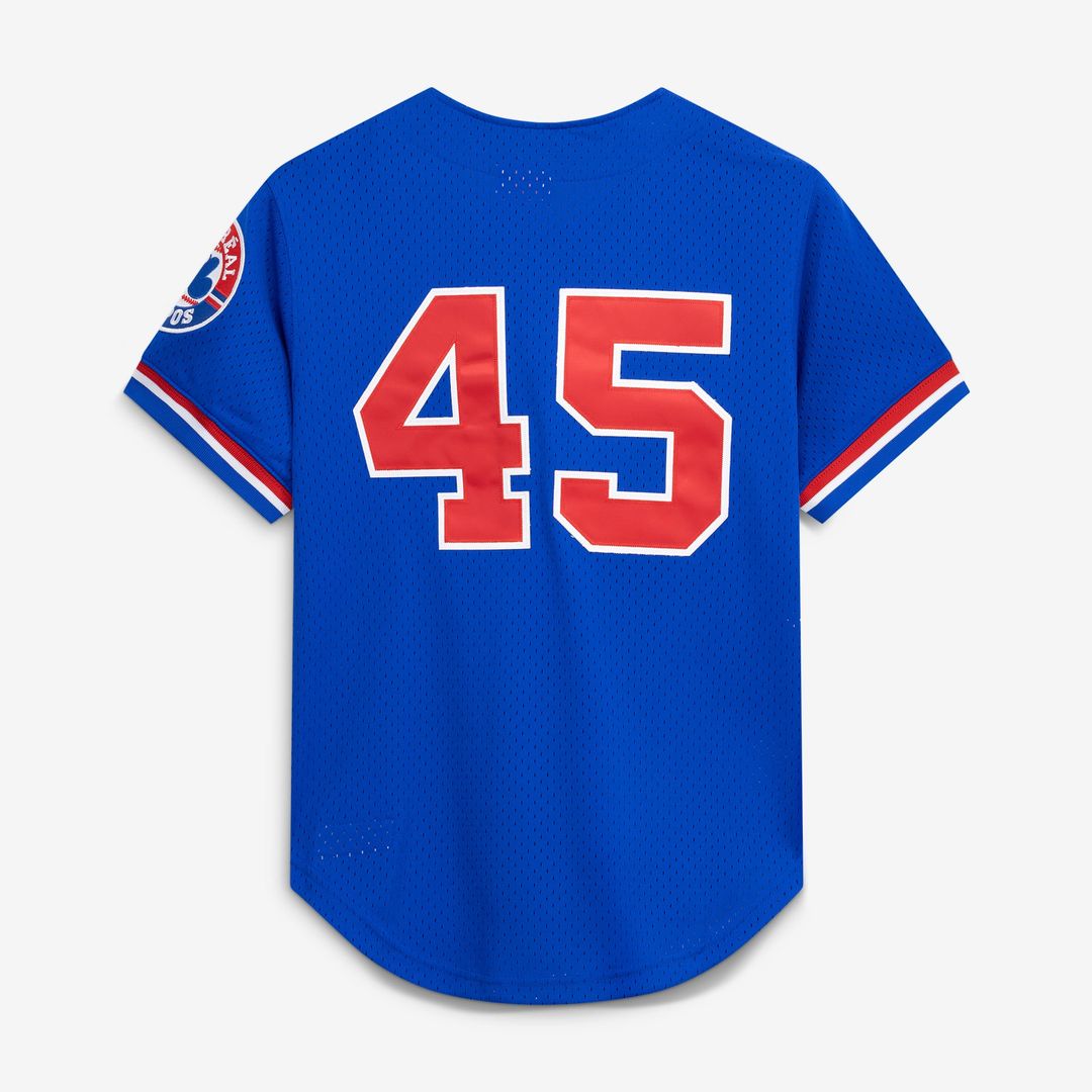 Montreal Expos Pedro Martinez Mitchell & Ness Blue Cooperstown Collection Mesh Batting Practice Button-Up Jersey product