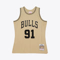 Chicago Bulls Swingman Jersey Dennis Rodman 1997 | Stitched Jersey RTJS 11773 product image 1, provided for visual reference