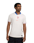 NIKE France Men Away Jersey 2025 - FZ9023 110 product image 1, provided for visual reference and product detail review